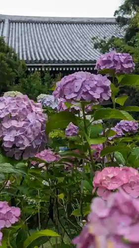  智積院(京都府)