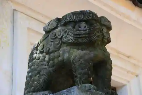 楯和気神社の狛犬