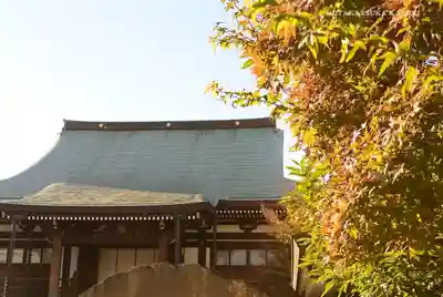 東漸寺の本殿・本堂