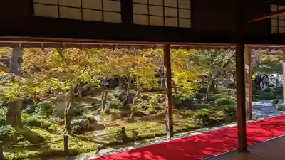 圓光寺(京都府)