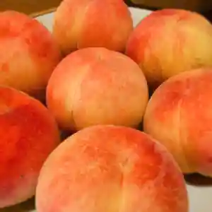 滑川神社 - 仕事と子どもの守り神の食事(2020年08月04日(火) 11時22分06秒投稿)