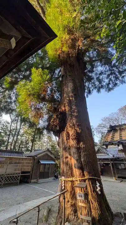 青根天満宮(滋賀県)