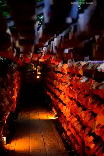 川越氷川神社(埼玉県)