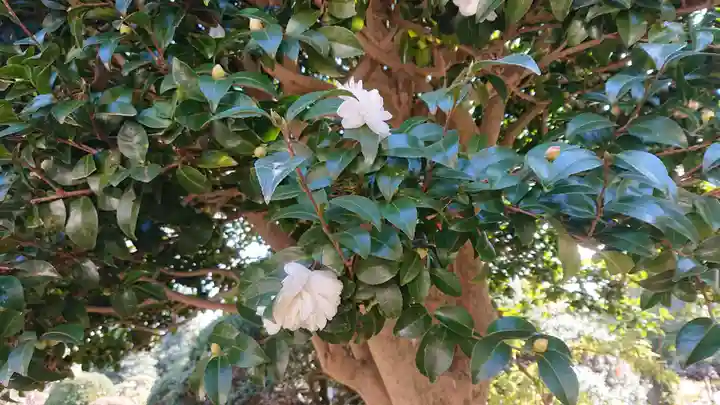東蕗田天満社の自然