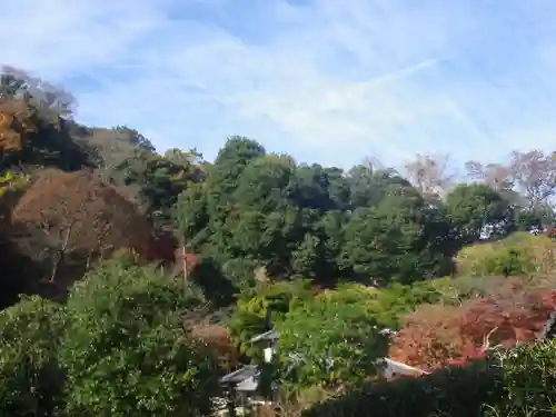 長壽寺（長寿寺）の庭園