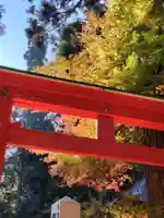白山神社(岩手県)