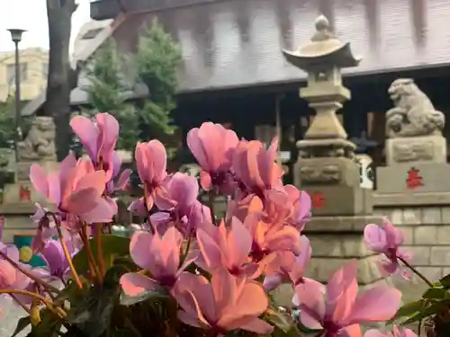 高円寺氷川神社の手水舎