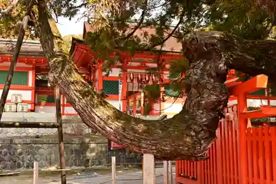 香椎宮(福岡県)