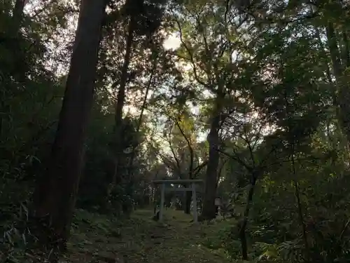 天神社の鳥居