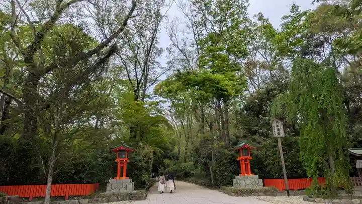 賀茂御祖神社(下鴨神社)の自然