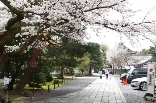 知恩院(京都府)
