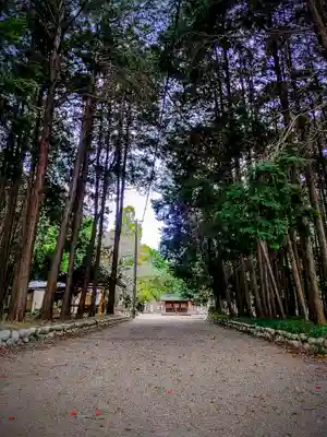諸鑺神社（諸鍬神社）のその他建物