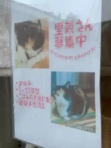 熊野那智神社(宮城県)