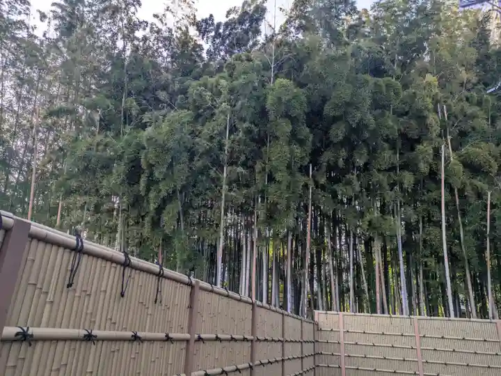 勝光院(東京都)