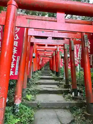 佐助稲荷神社の鳥居