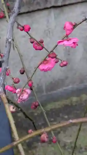 文子天満宮(京都府)