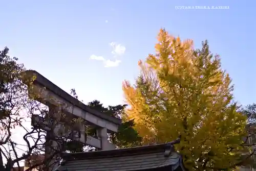 尾久八幡神社(東京都)