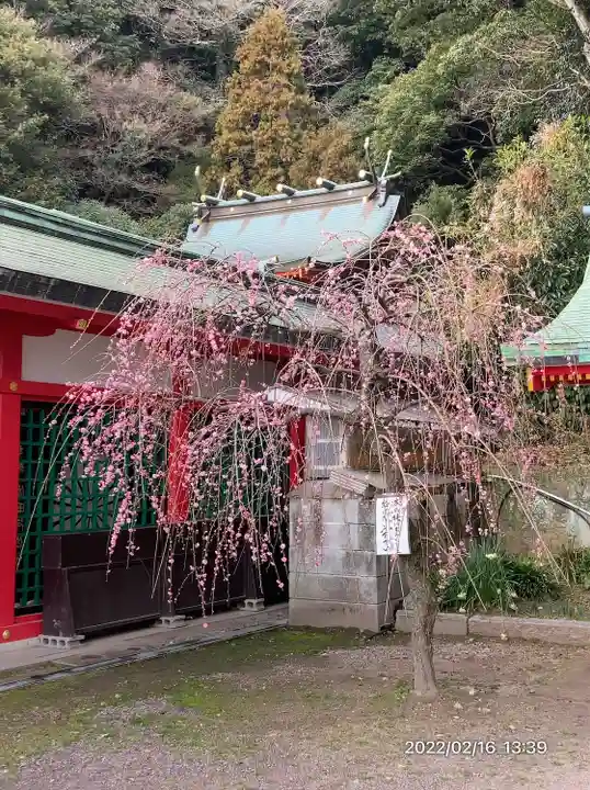 赤間神宮(山口県)