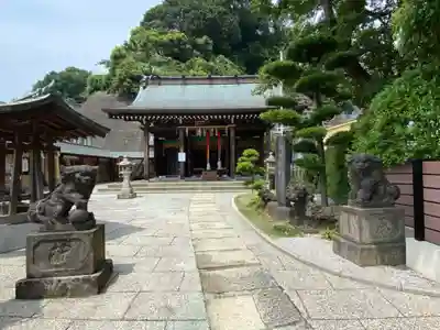 太田杉山神社・横濱水天宮の狛犬