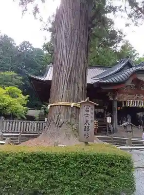北口本宮冨士浅間神社(山梨県)