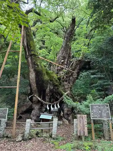 葛見神社(静岡県)