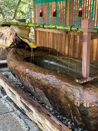 賀茂御祖神社（下鴨神社）(京都府)