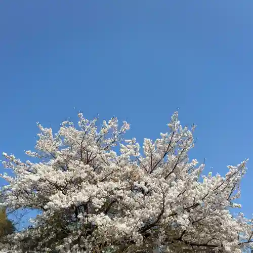 大久保青木神社(神奈川県)
