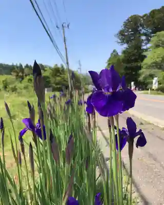 高司神社〜むすびの神の鎮まる社〜(福島県)