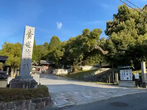 青蓮院の建物その他