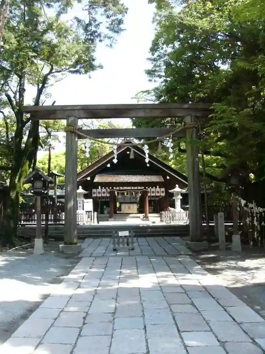 和泉國一之宮 大鳥大社の鳥居