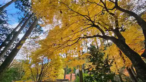 寂光院(京都府)
