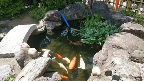 尾張猿田彦神社の庭園