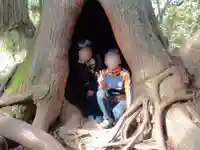 戸隠神社奥社(長野県)