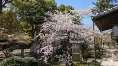 安樂壽院(京都府)