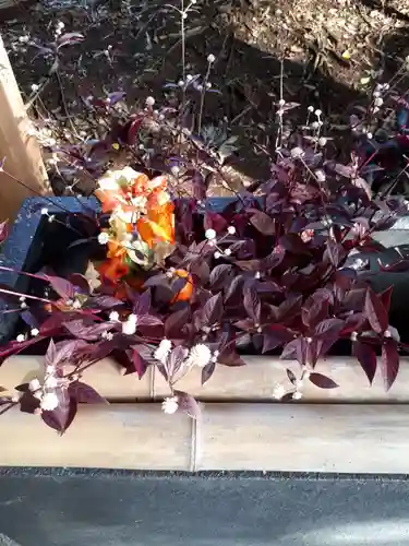 下野 星宮神社の手水舎