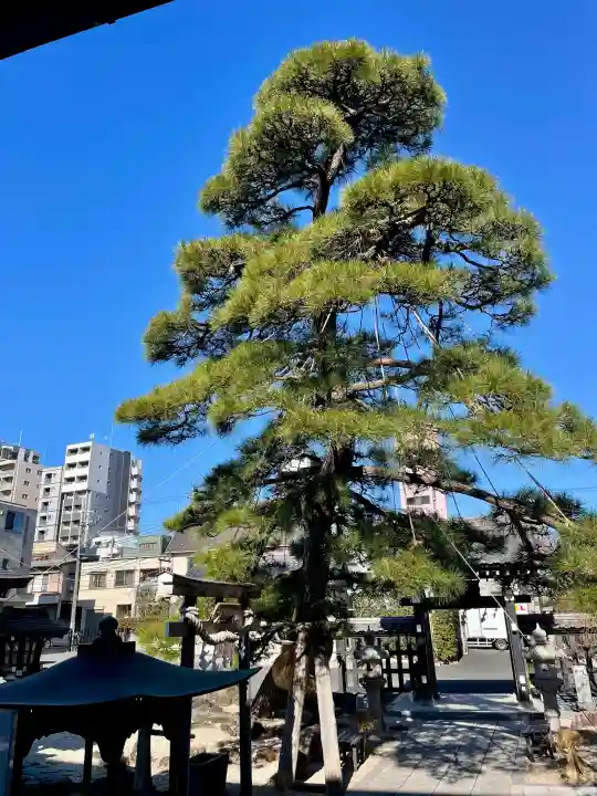 瑞光寺の{uncategorized: "未分類", other: "その他", undefined: "問題あり", building: "その他建物", grave: "お墓", sacred_gate: "鳥居", guardian: "狛犬", statue: "像", buddha: "仏像", history: "歴史", nature: "自然", garden: "庭園", animal: "動物", pagoda: "塔", temizu: "手水舎", mountain_gate: "山門・神門", sanctuary: "本殿・本堂", subordinate: "末社・摂社", art: "芸術", scenery: "景色", jizo: "地蔵", ema: "絵馬", goshuin: "御朱印", omikuji: "おみくじ", items: "授与品その他", amulet: "お守り", goshuincho: "御朱印帳", eats: "食事", festival: "お祭り", votive_dance: "神楽", shichigosan: "七五三参", wedding: "結婚式", experience: "体験その他", initially: "初詣", around: "周辺", anti_infection: "感染症対策"}