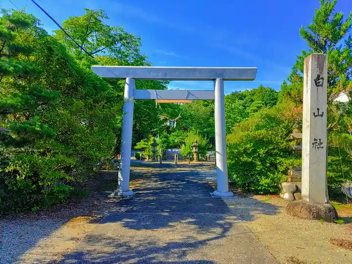 白山神社(木曽川町黒田)の鳥居