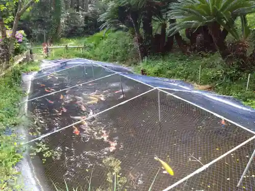 百々神社(愛知県)