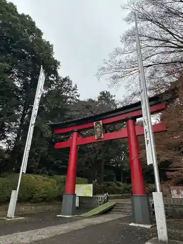 大宮八幡宮の鳥居