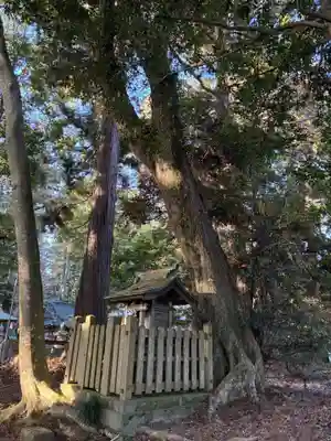 木内大神(千葉県)