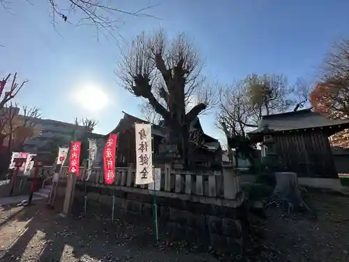 多賀神社(東京都)