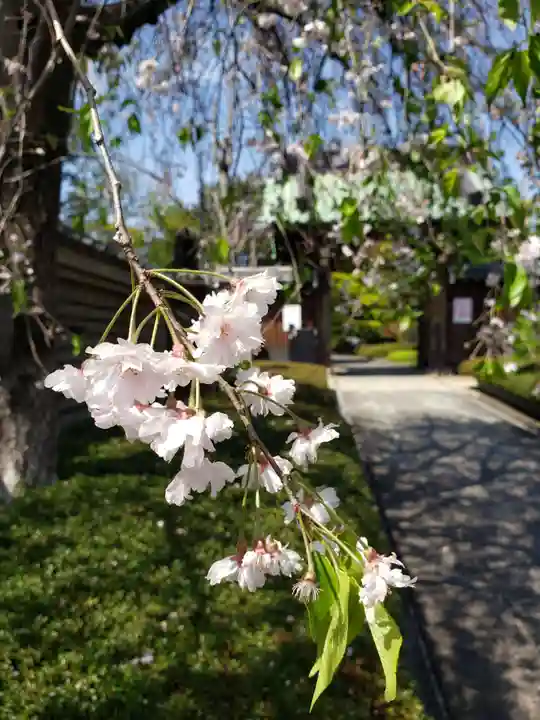 福蔵院(東京都)