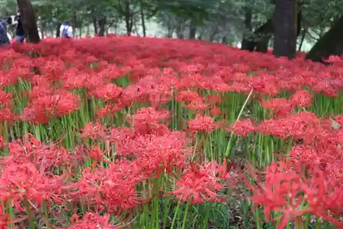 九万八千神社(埼玉県)