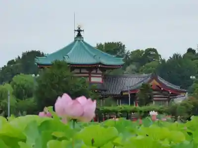 寛永寺不忍池弁天堂のその他建物