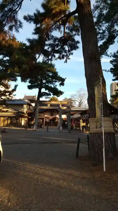 龍城神社の自然