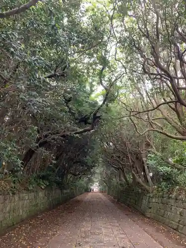 酒列磯前神社の景色