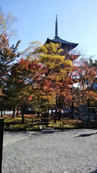 東寺(教王護国寺)の庭園