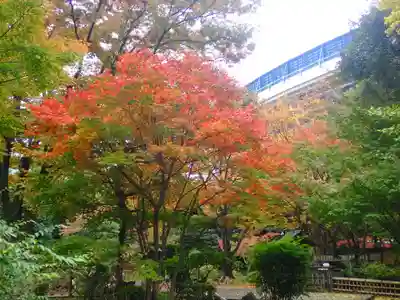 伊勢山皇大神宮(神奈川県)