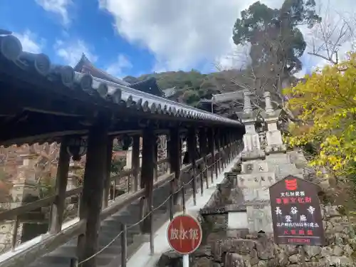長谷寺(奈良県)