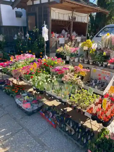 大生郷天満宮(茨城県)